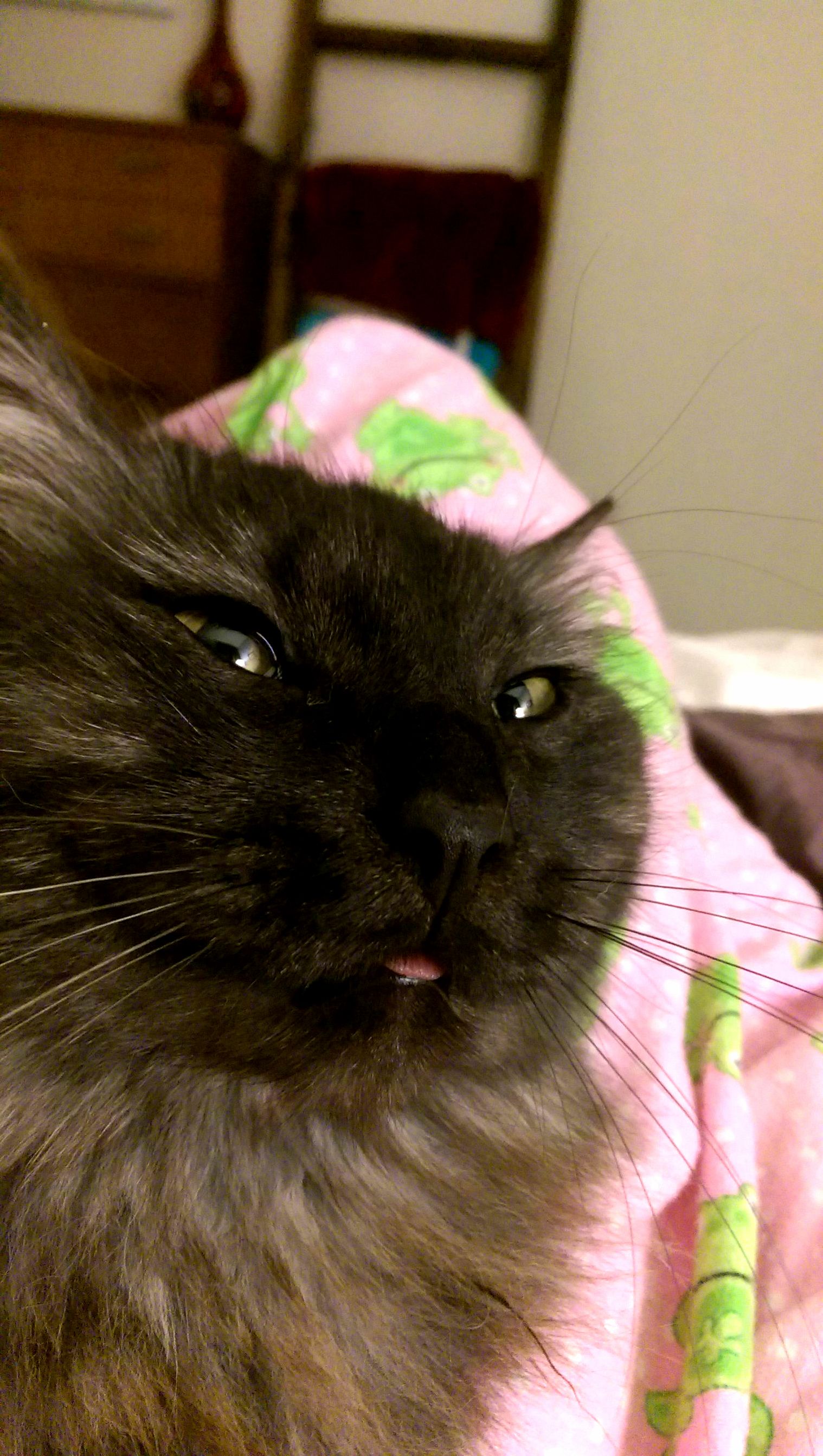 Char Is Usually Very Beautiful.