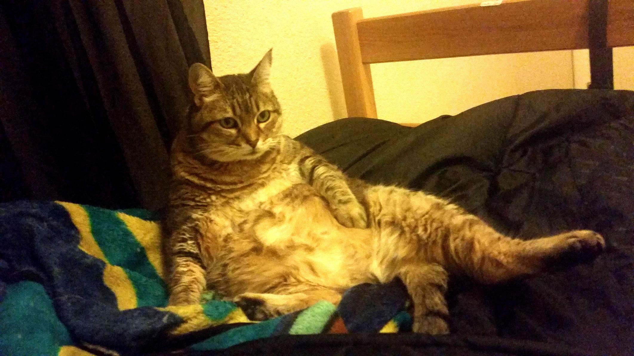 Chillin