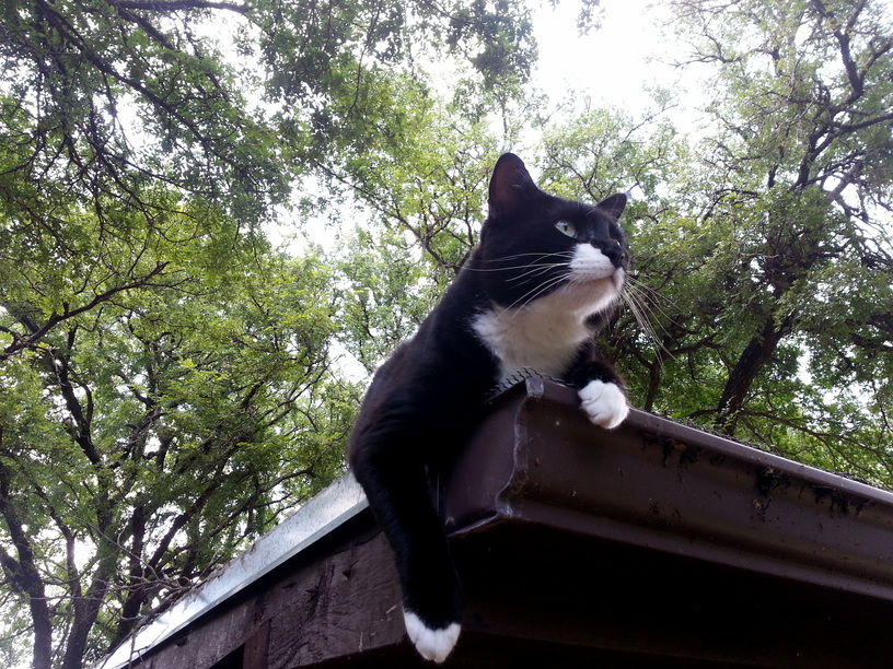 Chuck Is the Master of All He Surveys