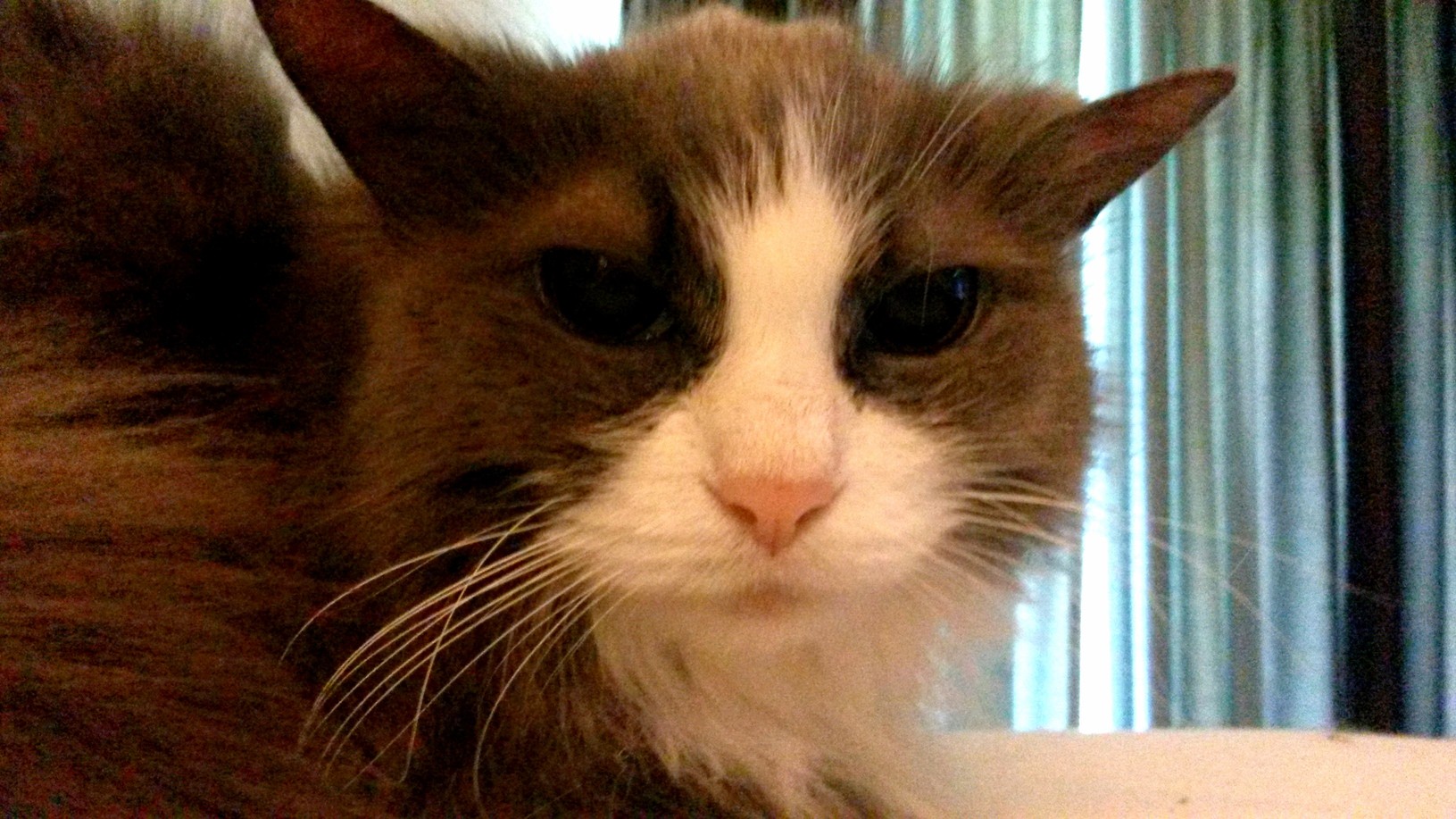 Come at Me with That Syringe One More Time. I Dare You.