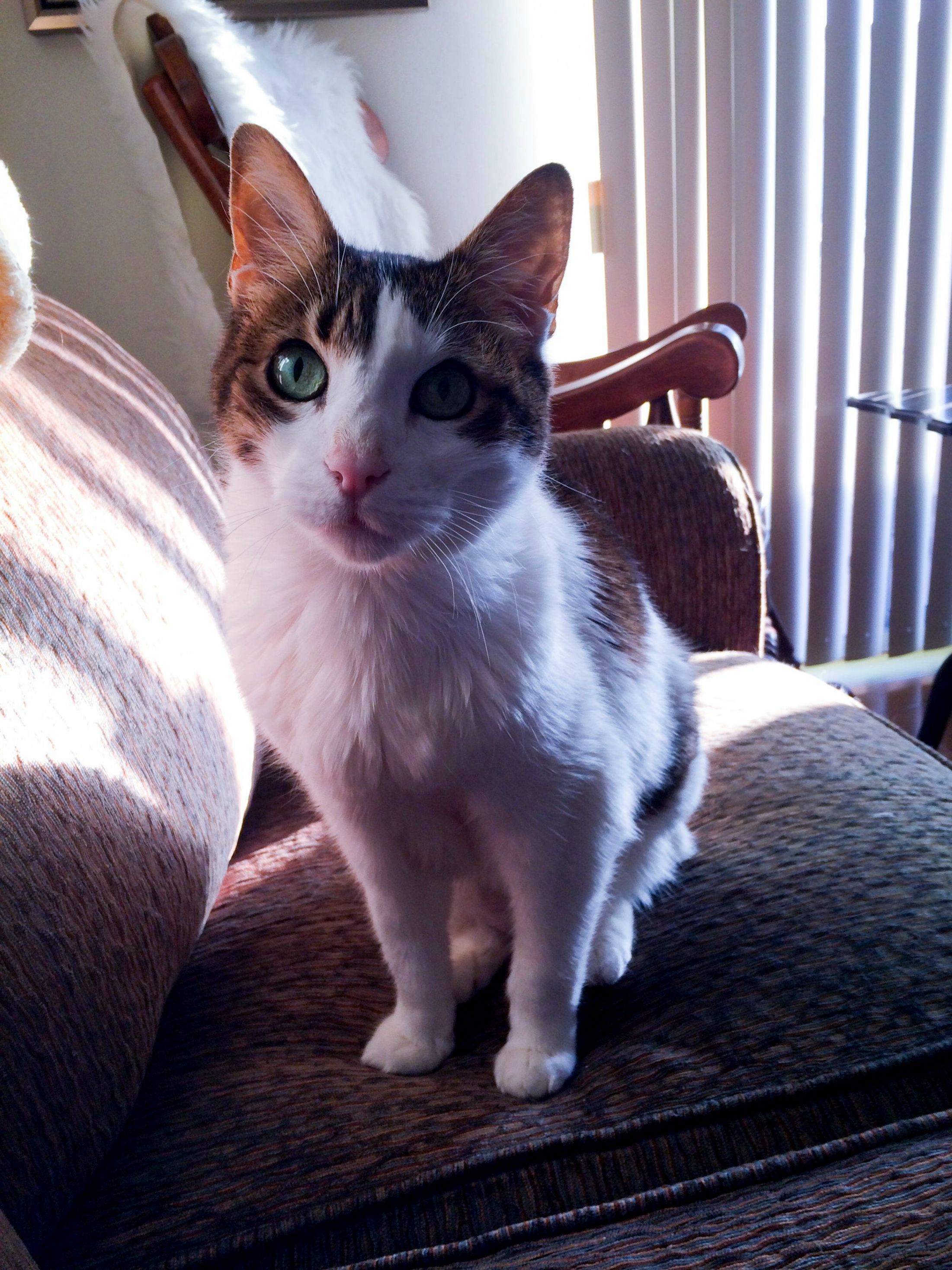 Coming Up on His Sixteenth Birthday Doesnt Look a Day Over Ten