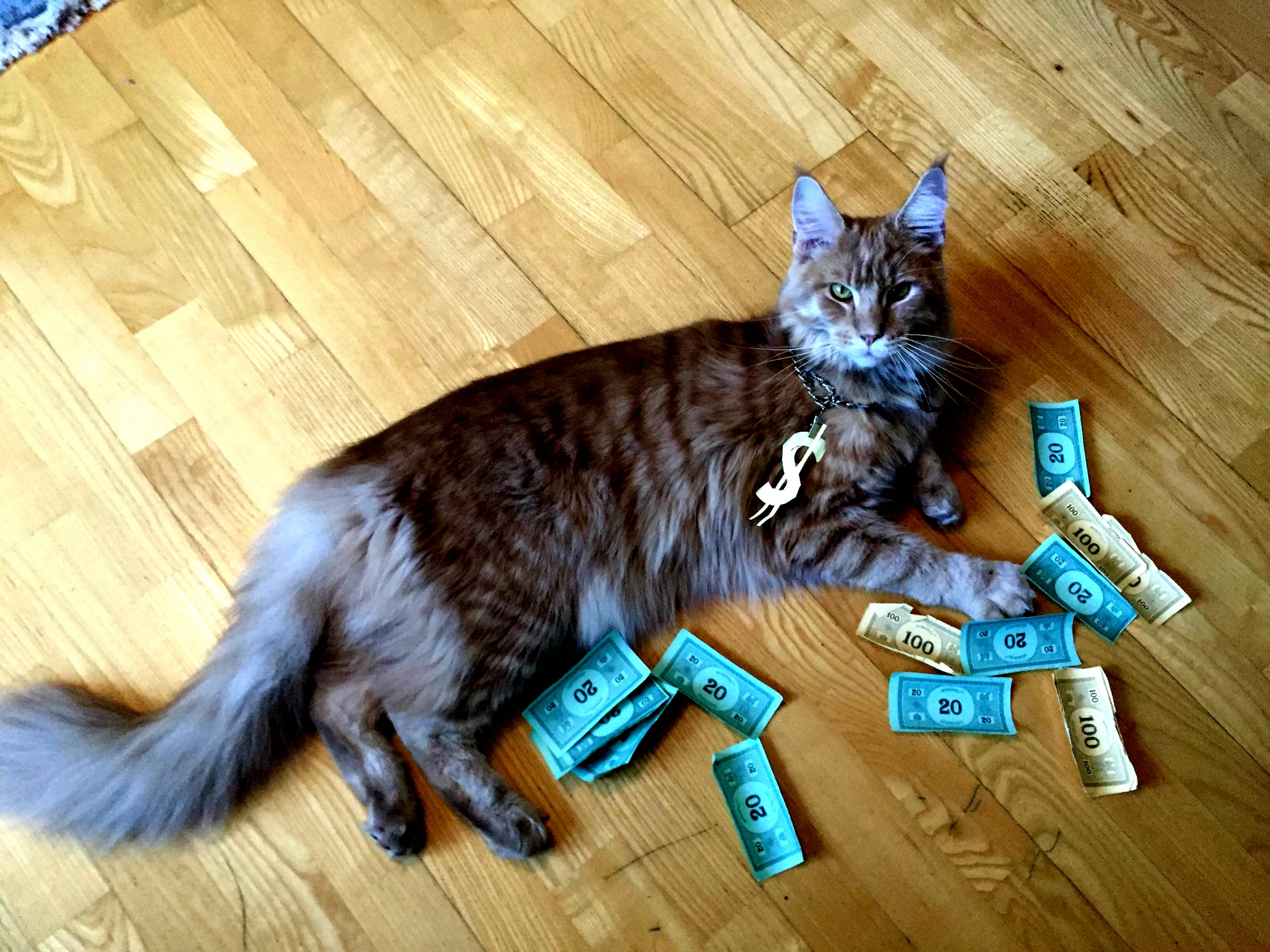 Damn It Feels Good to Be a Gangsta