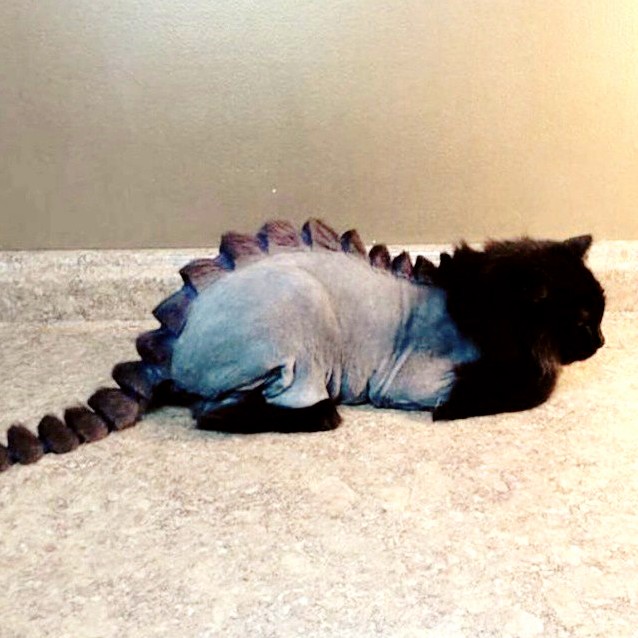 Dino-cat Sweet Summer Cut