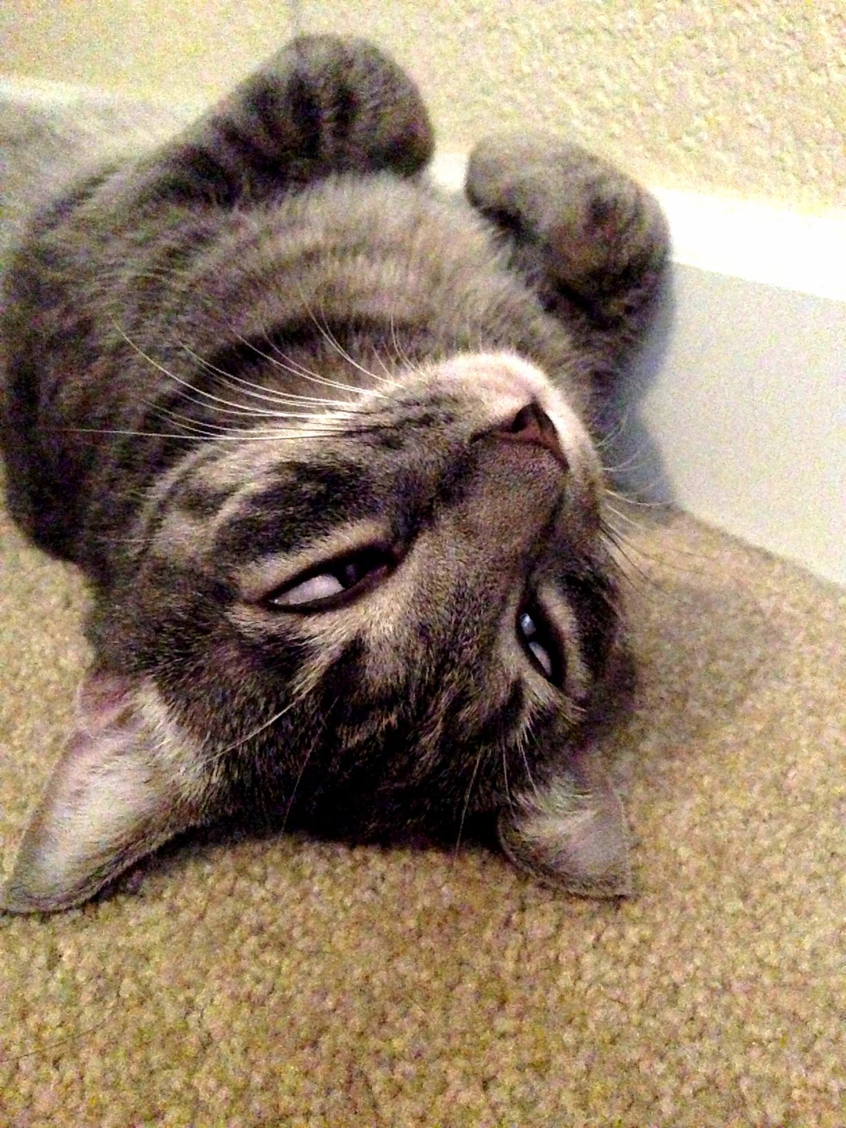 Dont Mind Me Just Sleepin Cross-eyed.
