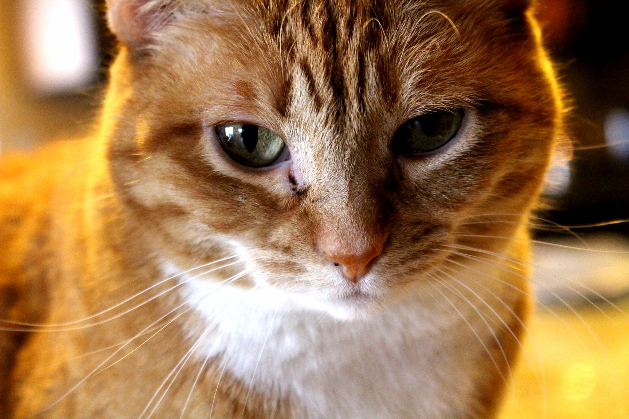 Duju Actually Stood Still for Once