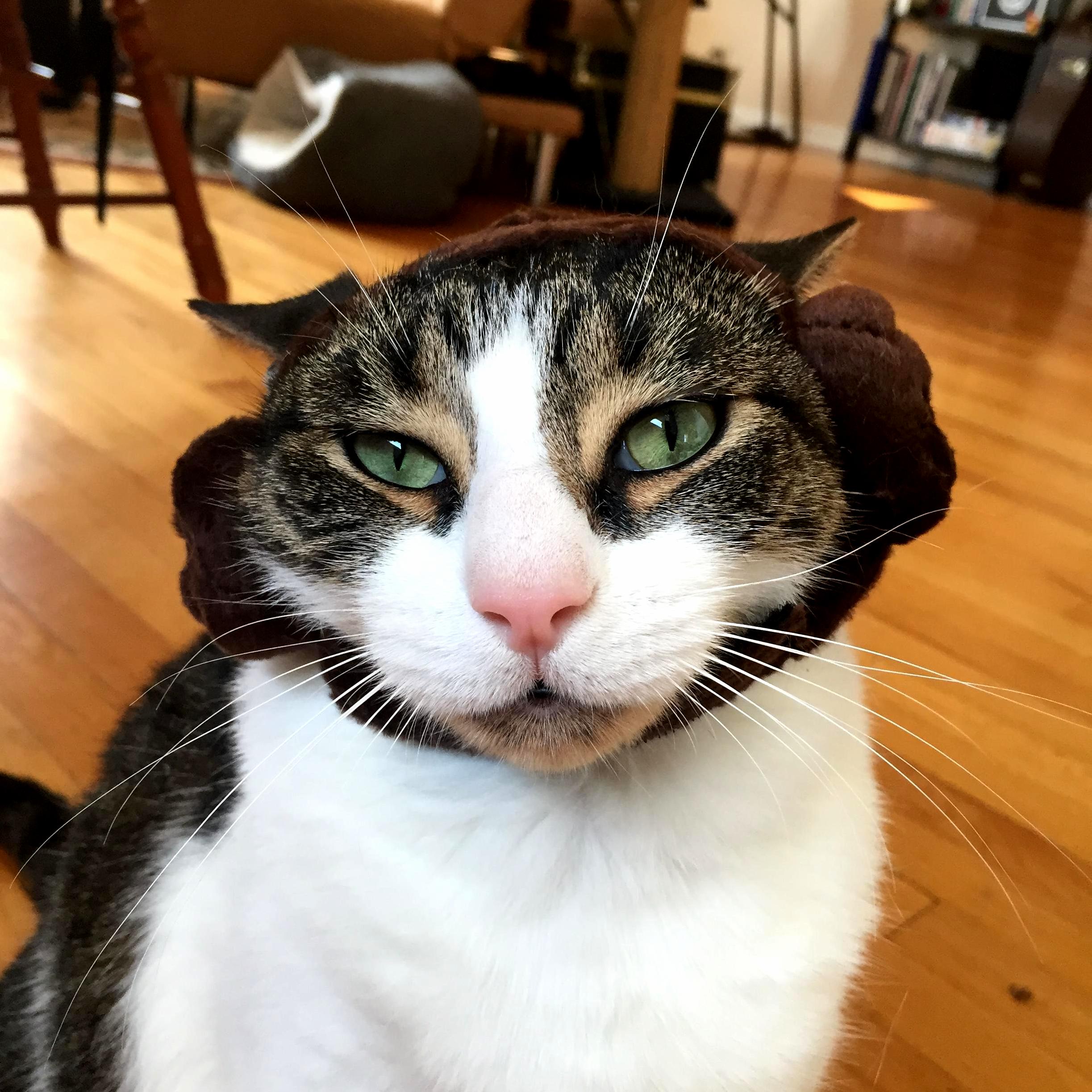 Elton Tries on His Princess Leia Hair Loves It. Sort Of.