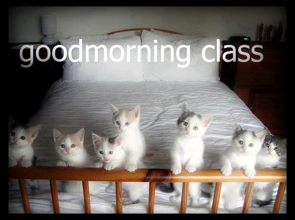 Good Morning Class of Newbies