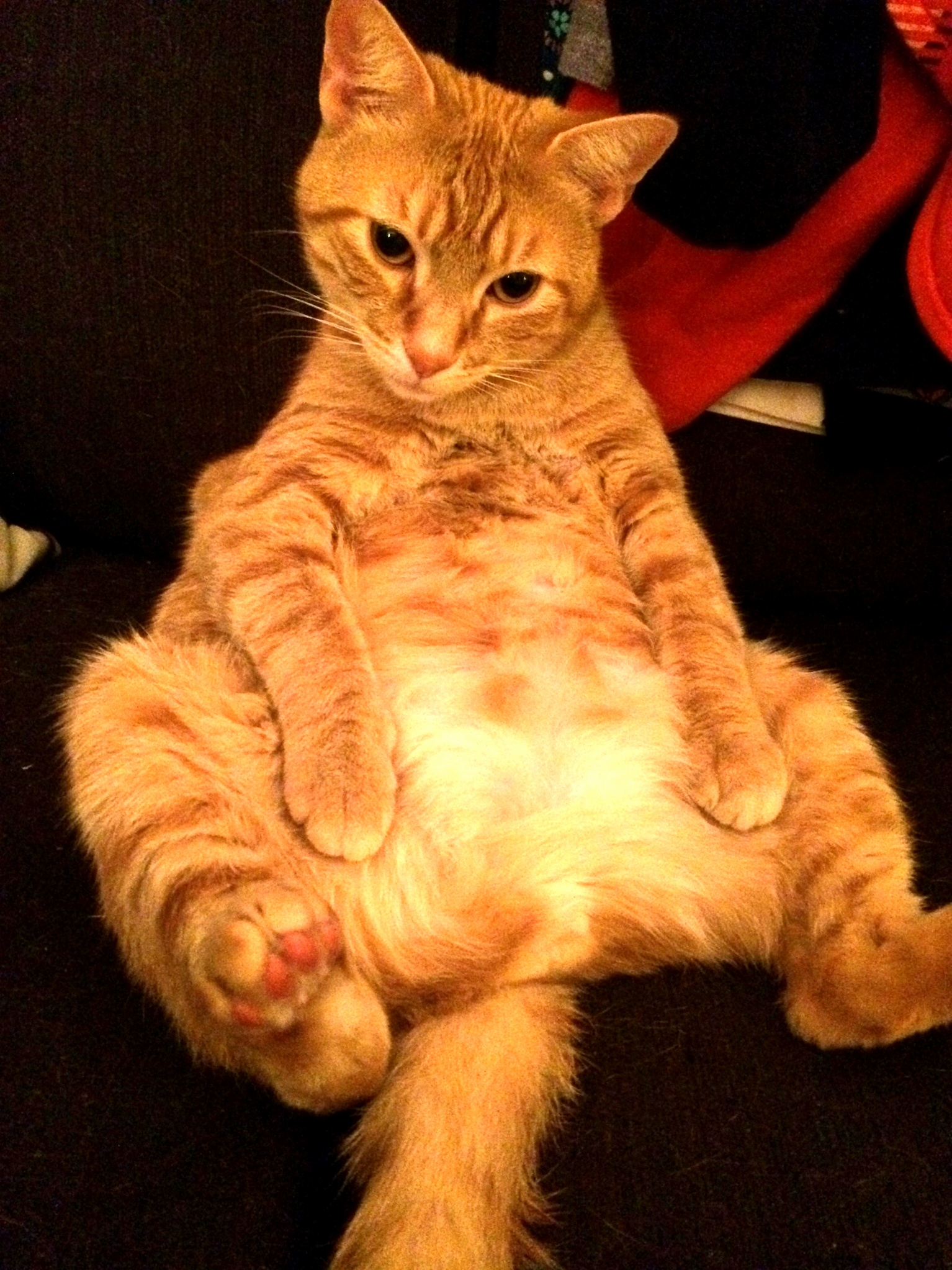 Hai Gurl U Like Wat U See