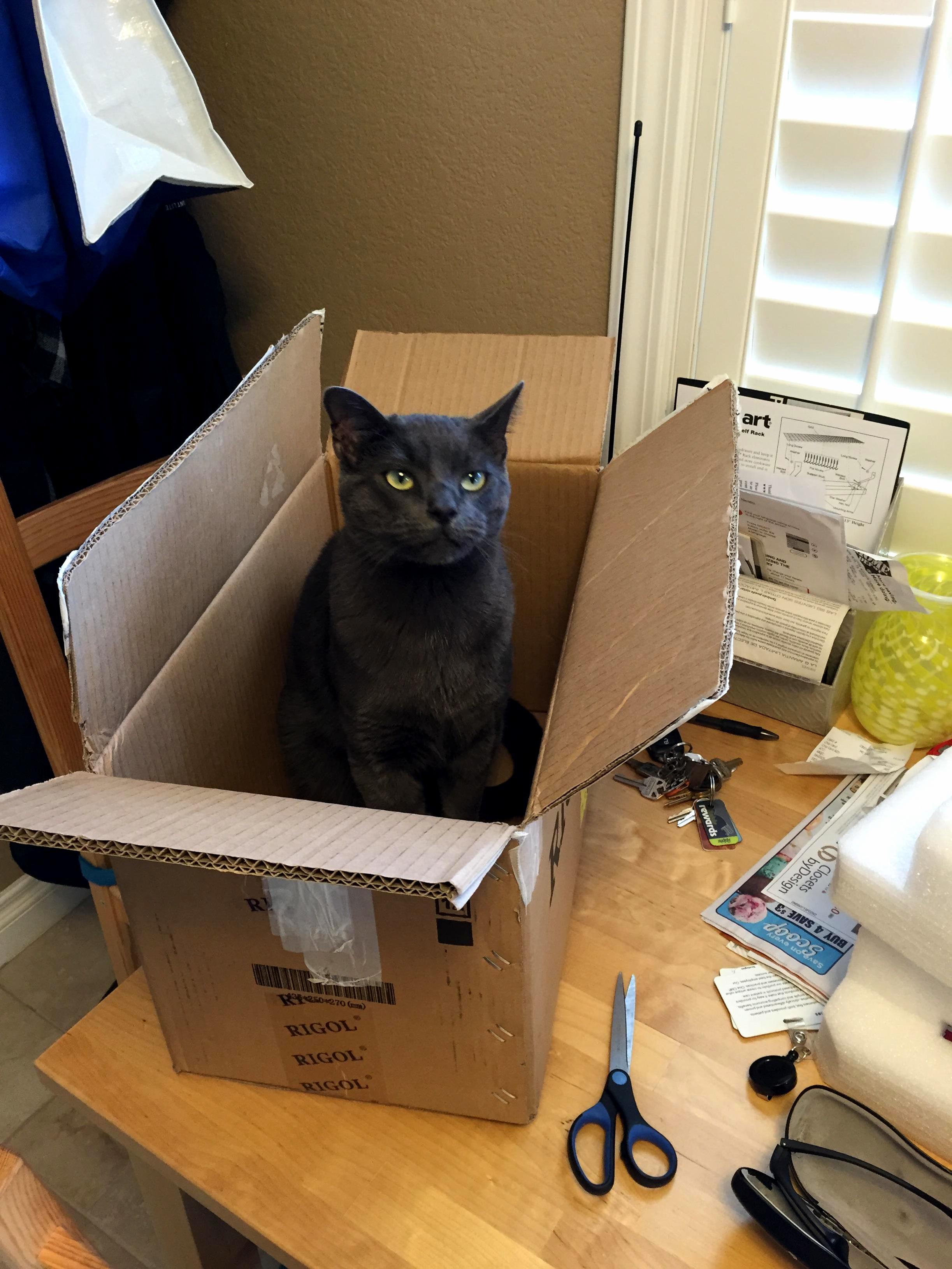 He Didnt Even Wait for Me to Put the Box on the Floor First.
