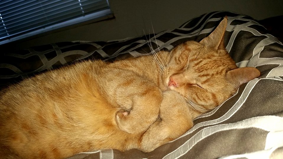 He Ll Be This Way for Hours