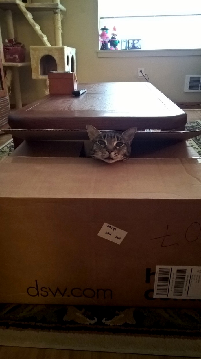 He Popped His Head Out and Sat There for About Five Minutes