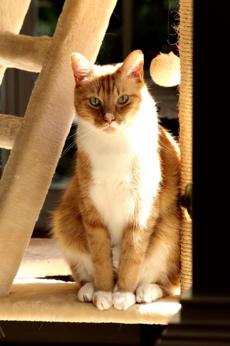 He Turns 4 Today by Far My Favorite Photo of Him So Far
