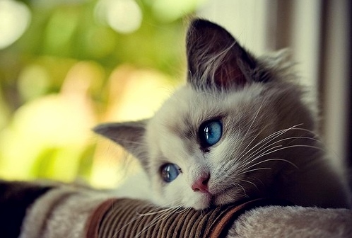 Here Comes That Rainy Day Feeling Again ...