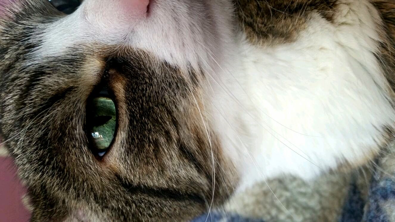 Heres My Handsome Lover Boy 3