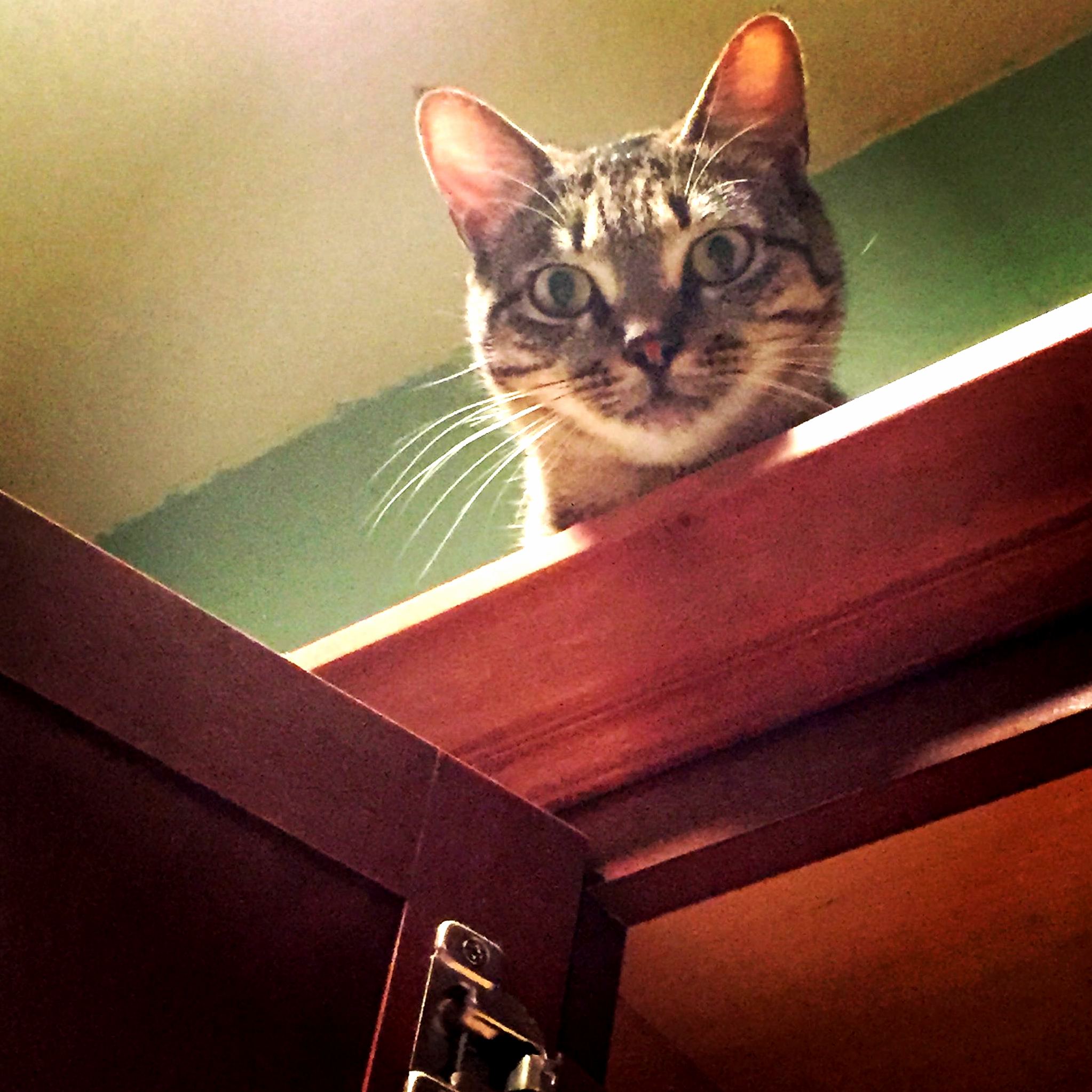 Hes Always Watching..