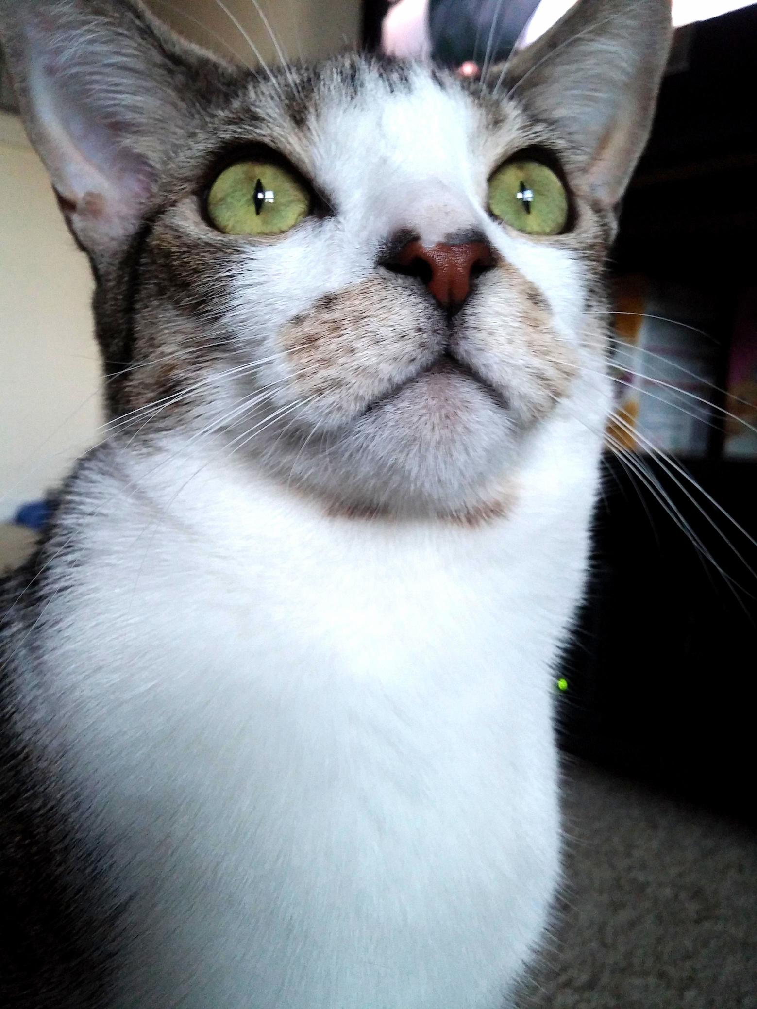 Hes Been Staring Outside for a While