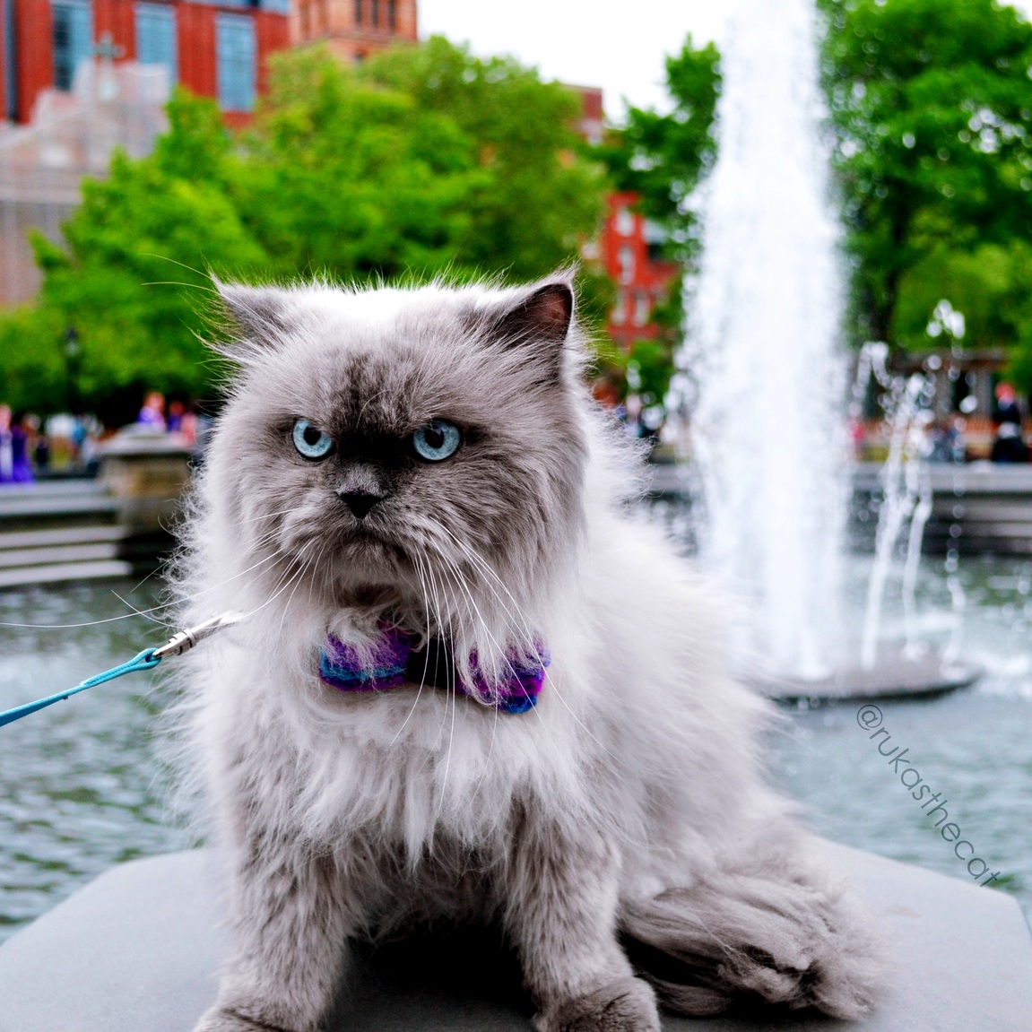 Hes Going to Take Over This City