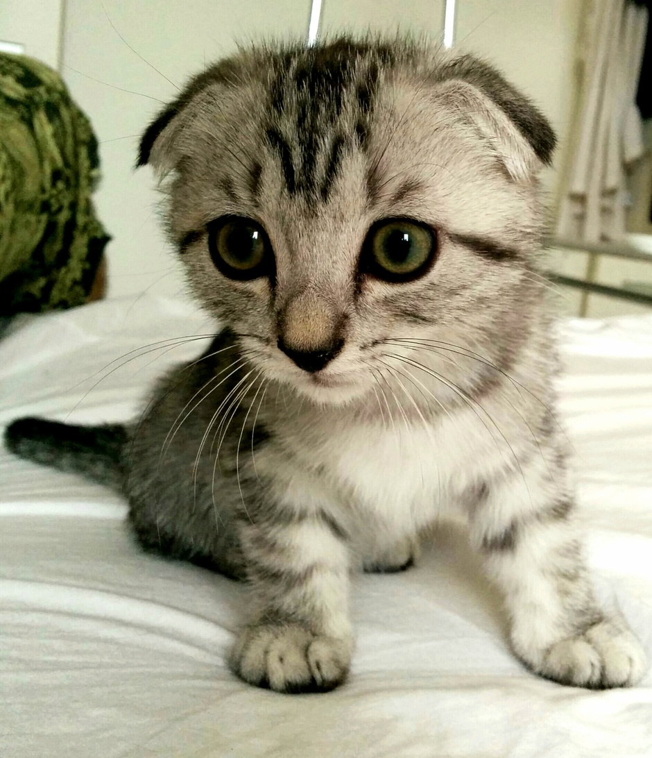 Hey There Bright Eyes