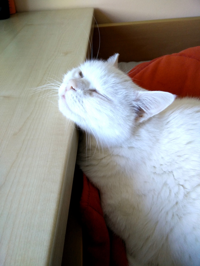 How Is This Comfortable