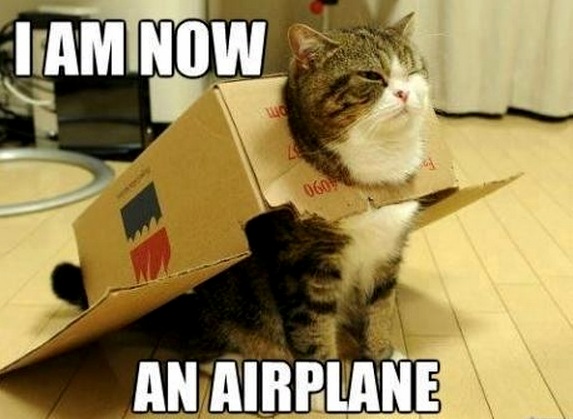 I Am an Aeroplane. Old Meme but Still Hilarious