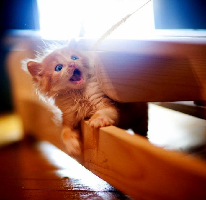 I Am Here Mama