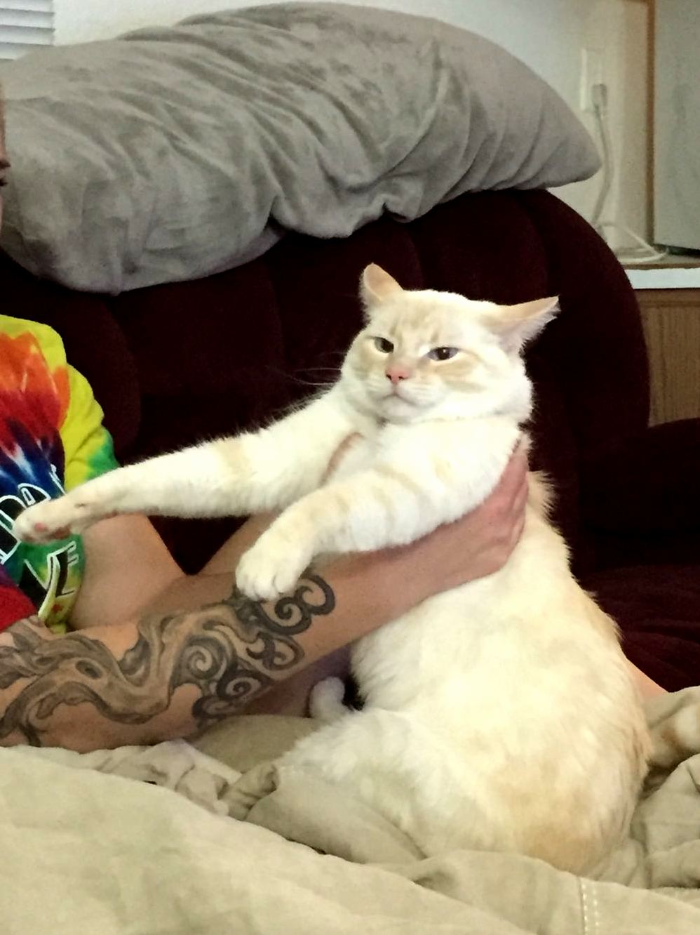 I Dont Appreciate Your Grasp Human