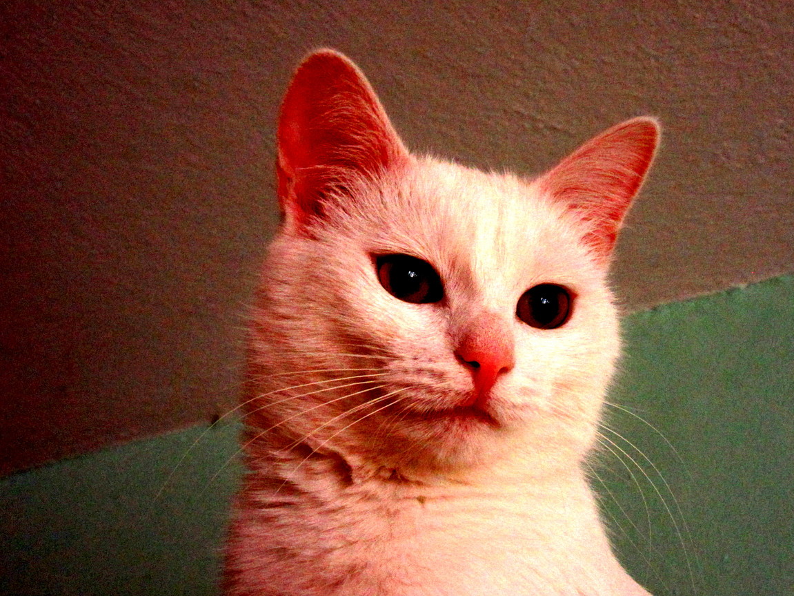 I Love Her Cute Face