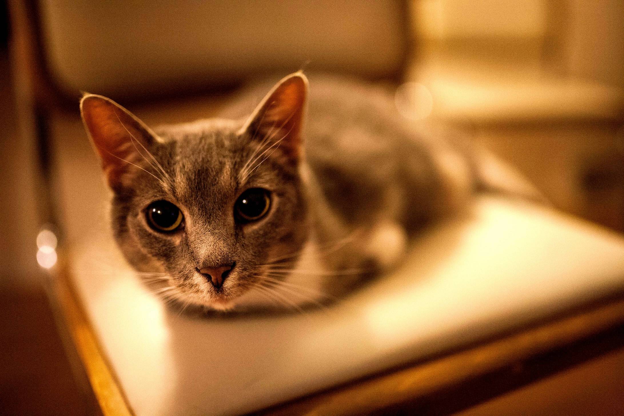 I Meet This Three-armed Cutie This Weekend