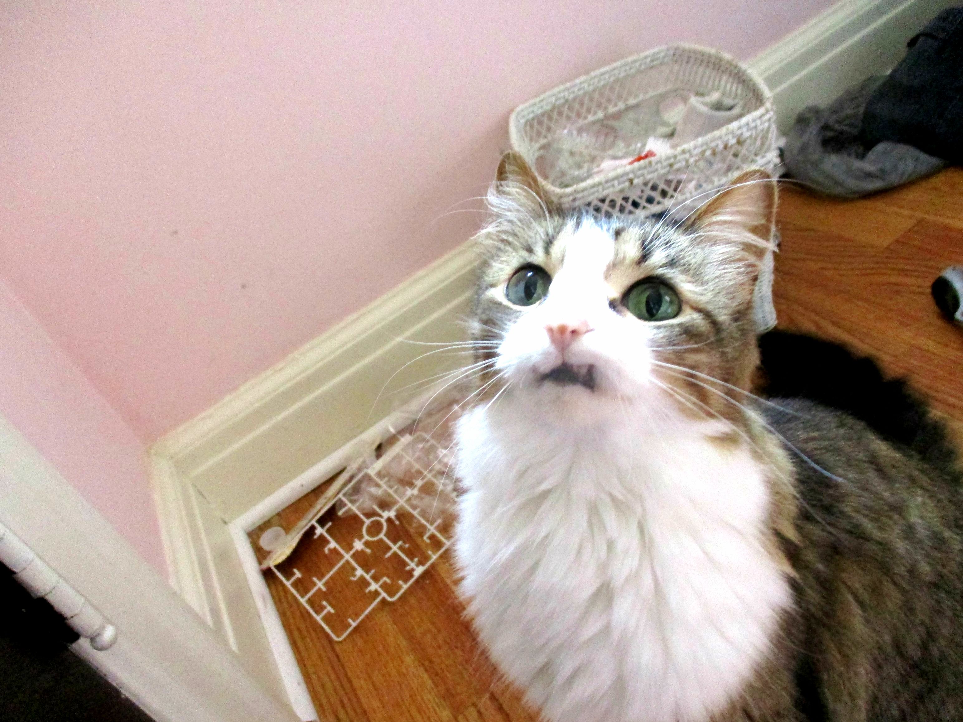 I See Wut Ur Doin Tharrrr K