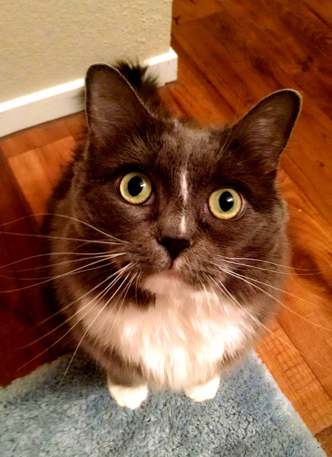 I Think She Wants Something.