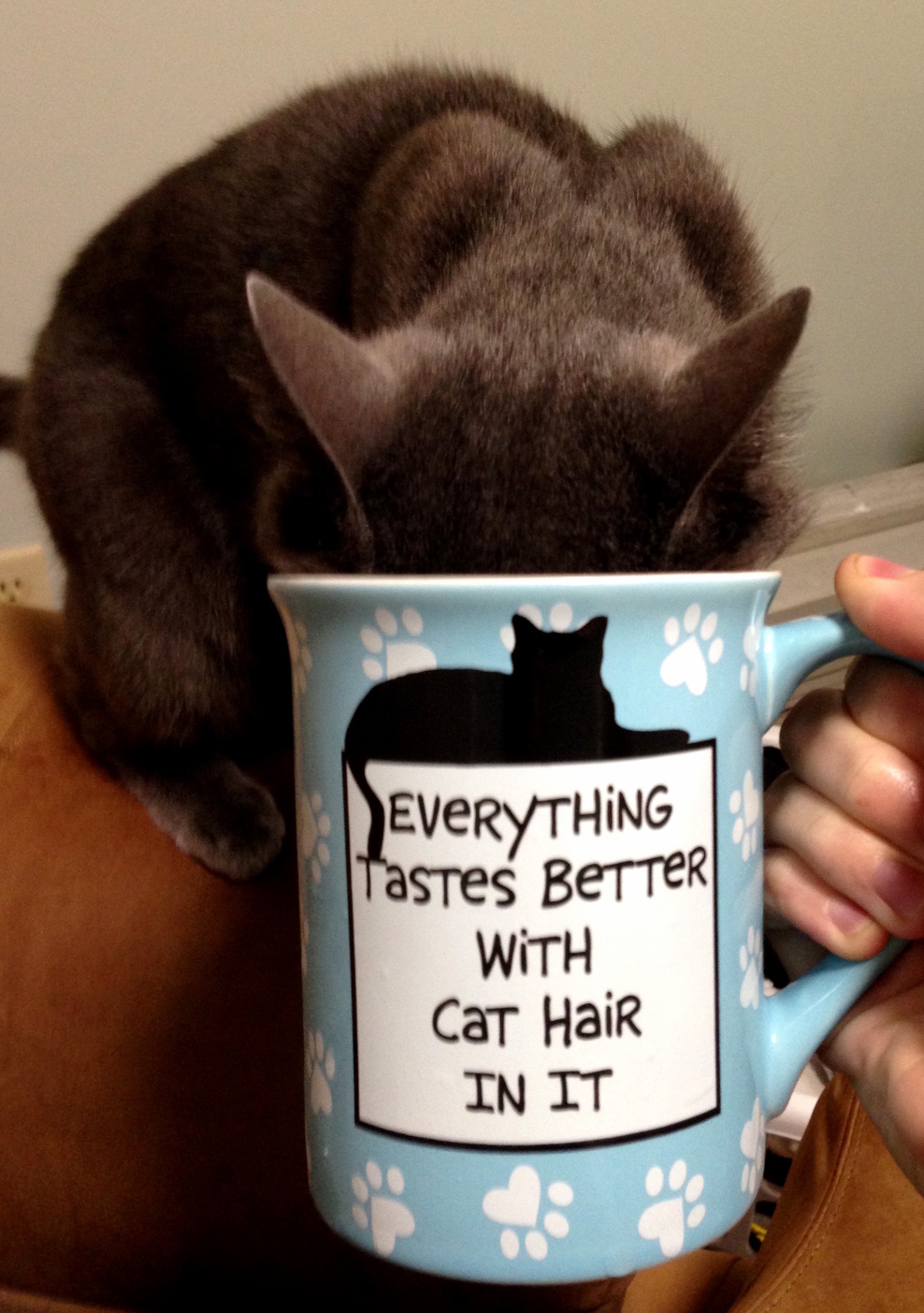 I Tried to Take a Picture of Her Next to My New Mug