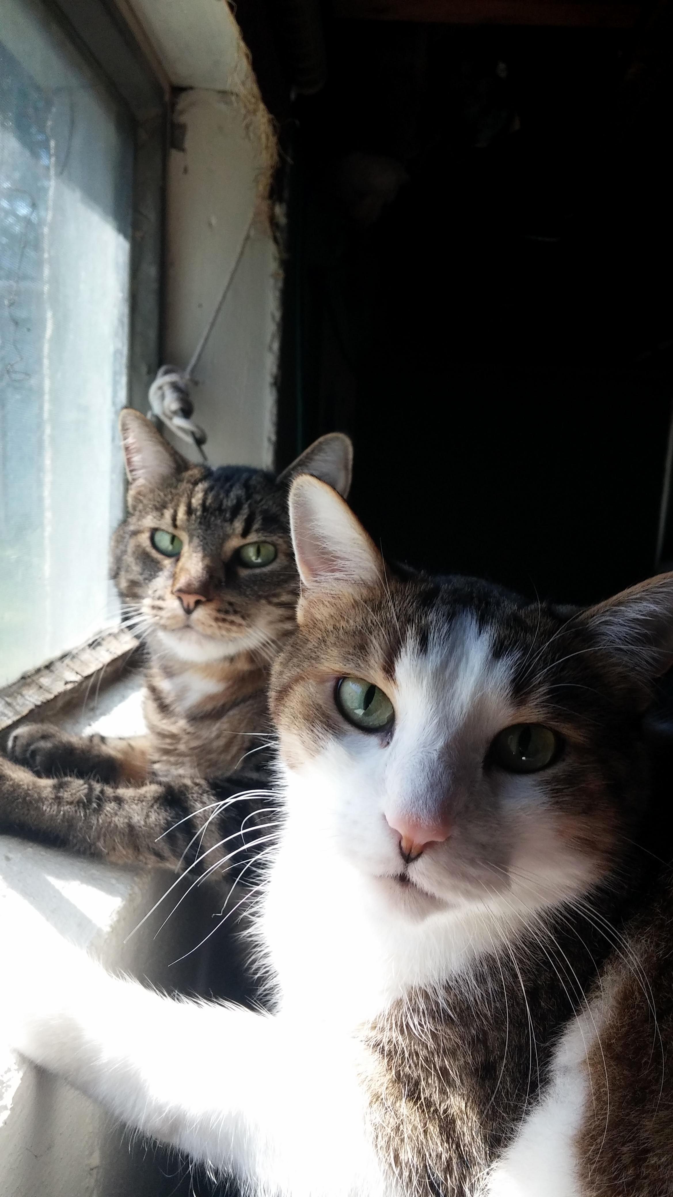 I Ve Had These Guys for 8.5 Years Theyre Brothers and Two of the Best Friends I Ll Ever Have.