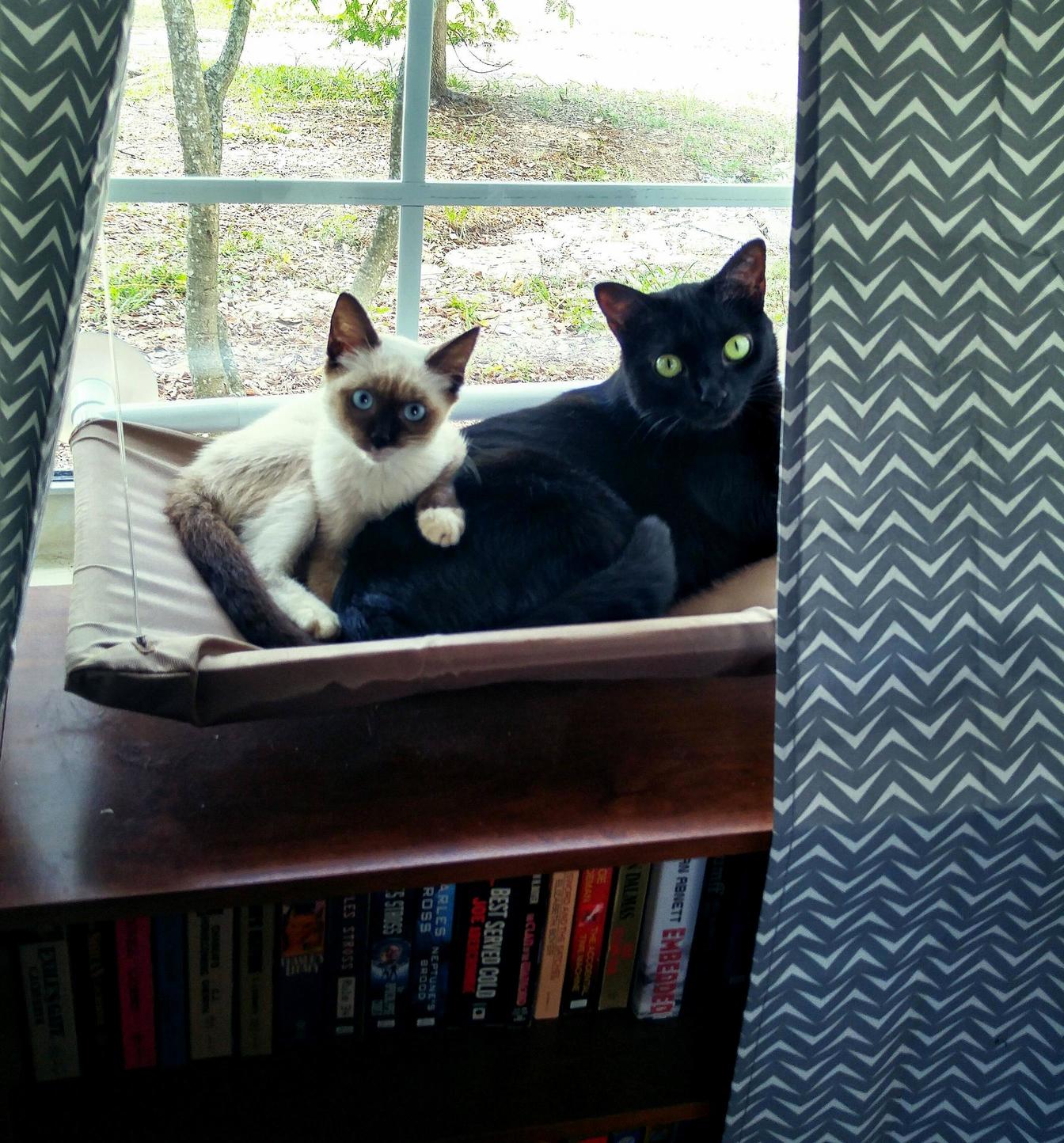 I Was Afraid They Wouldnt Get Along...