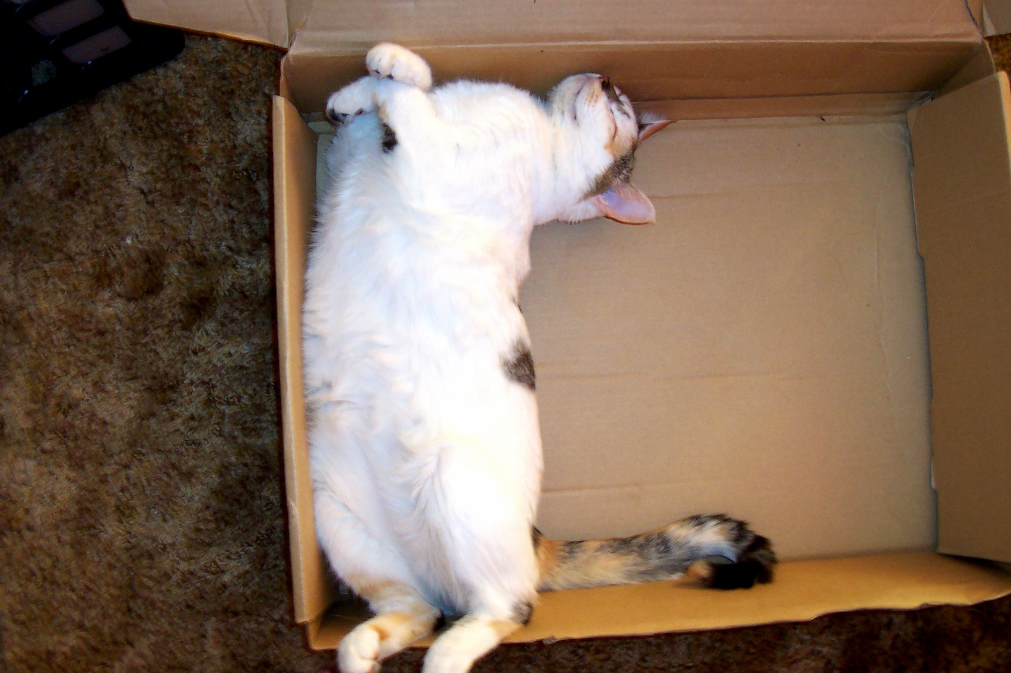 ID Tell Her Shes Doing It Wrong but I Dont Have the Heart