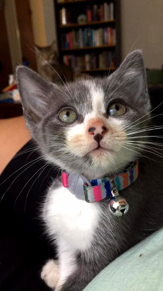 Im Hungry Momma. Please Feed Me More.