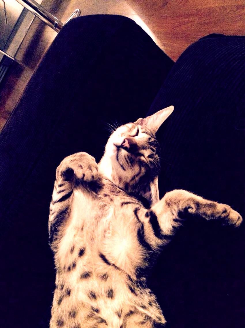 Im Not Sure If Hes Sleeping or Giving Directions.