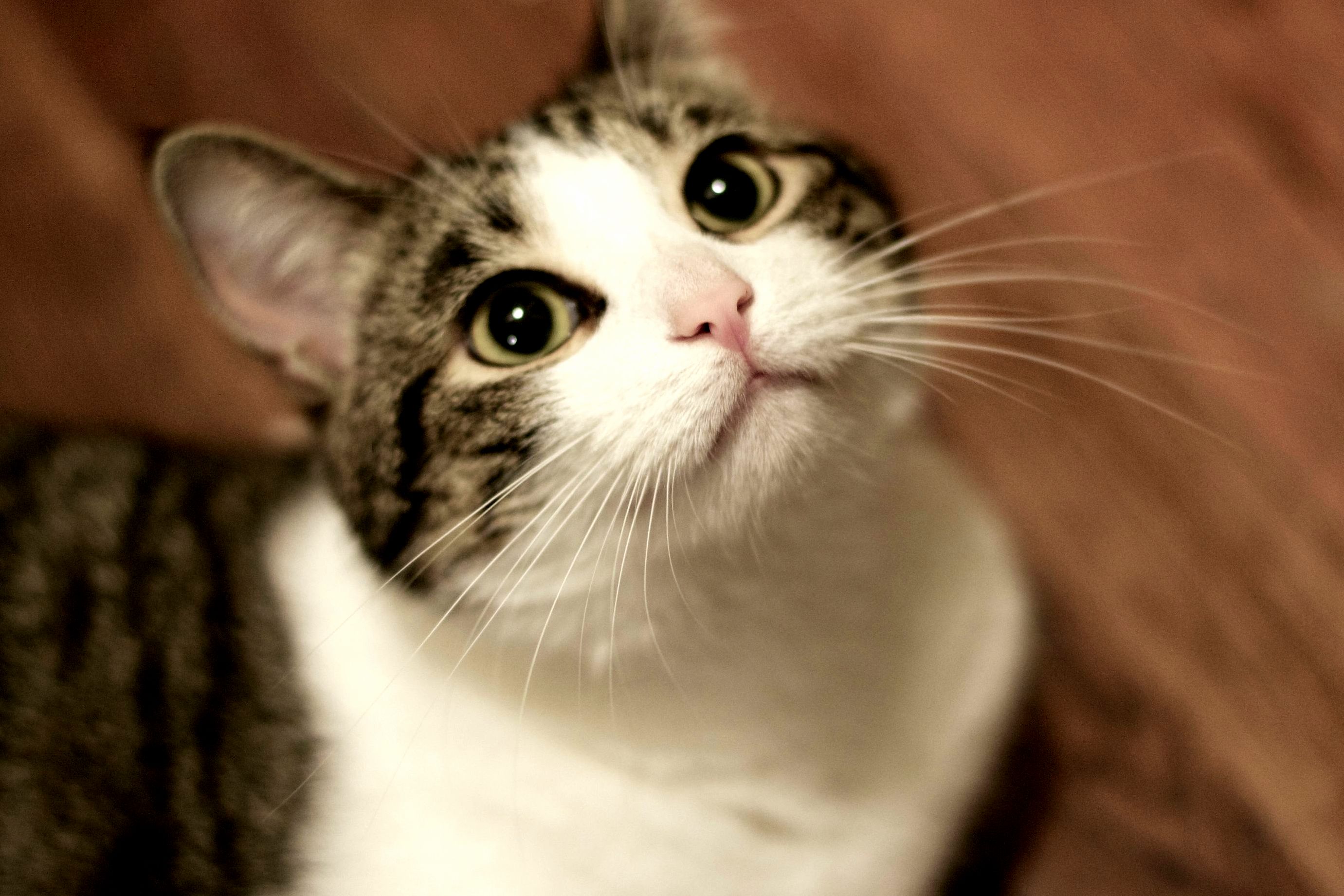 Is It Dinner Time Yet