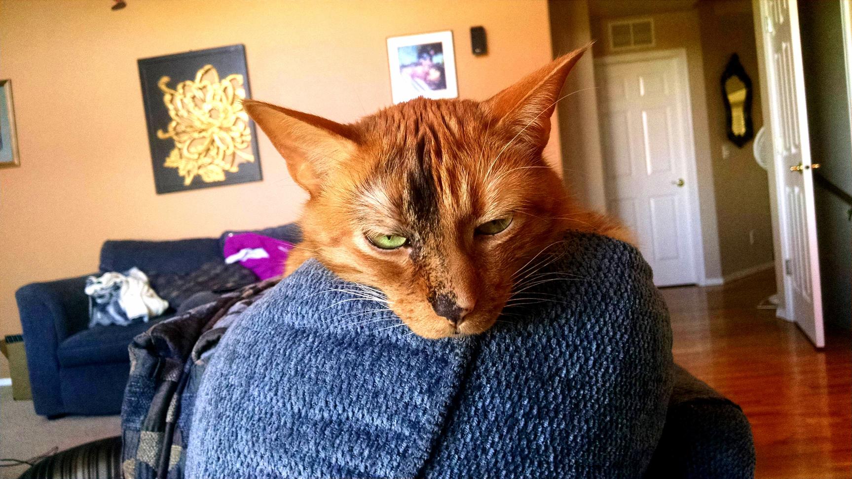 Jack in Not Amused with Your Crap