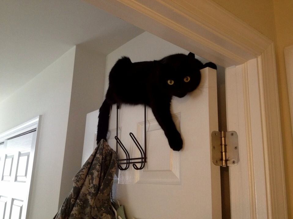 Just Chillin