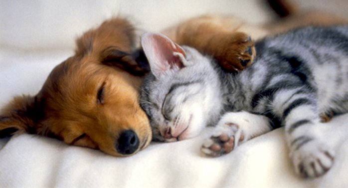 Just Like Brother and Sister
