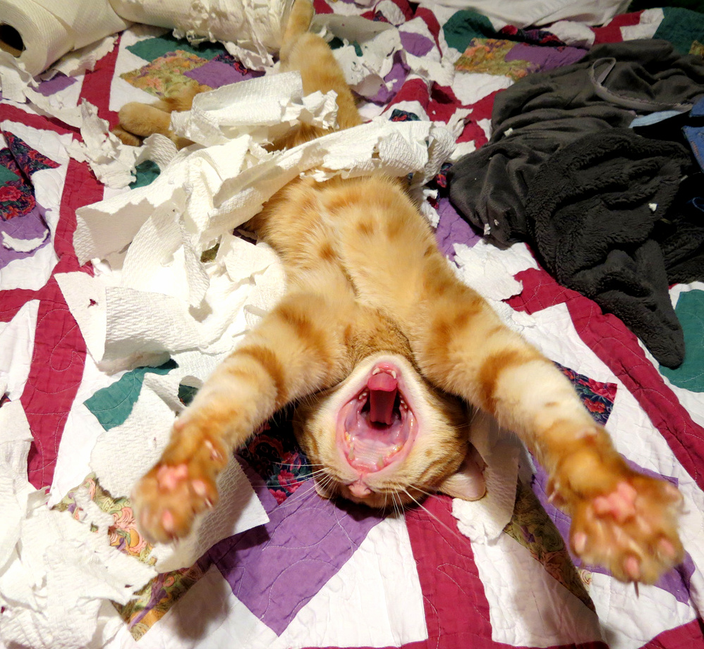Kai Is Extremely Impressed with His Own Destruction Abilities.