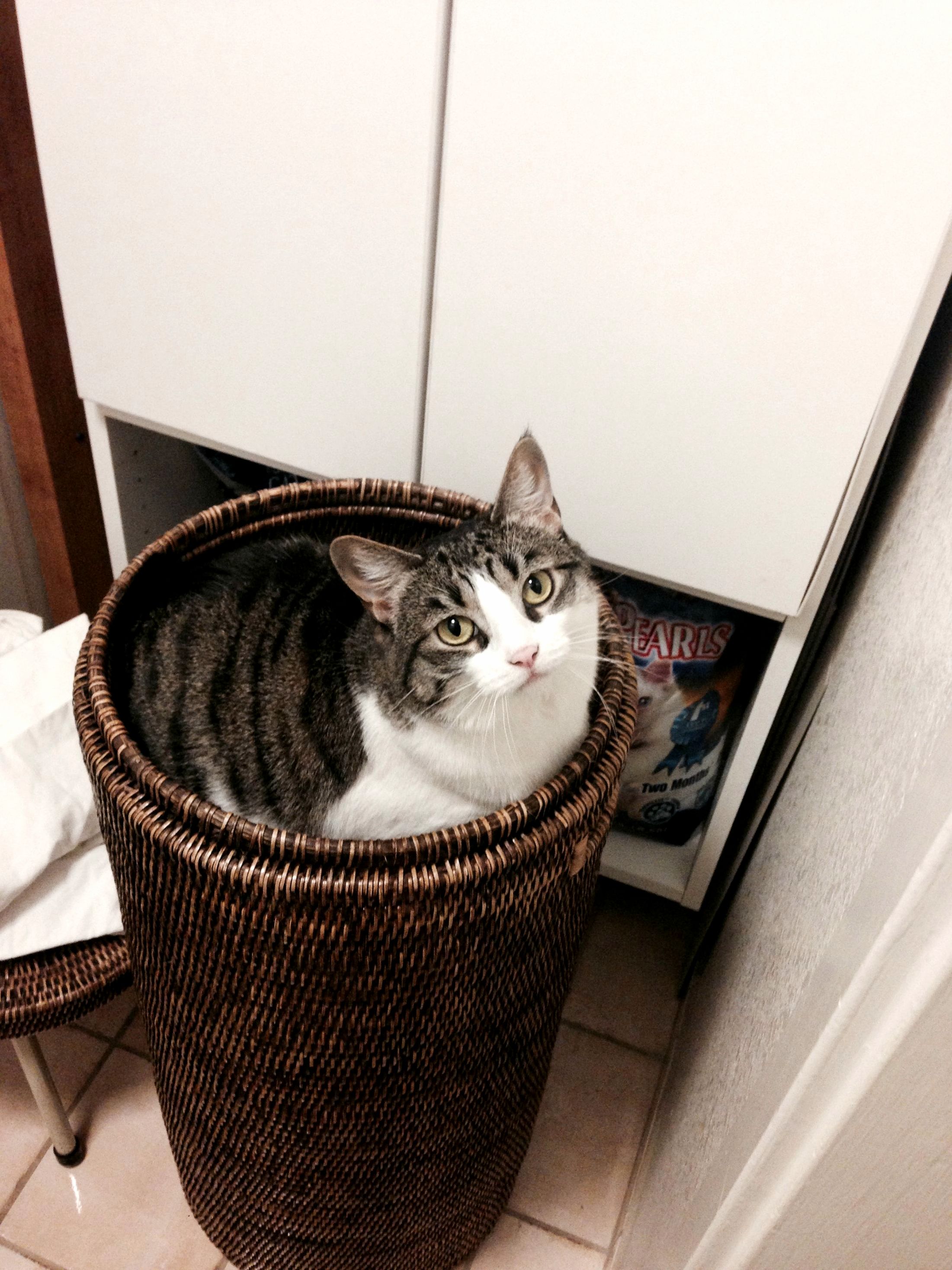 Laundry Day.