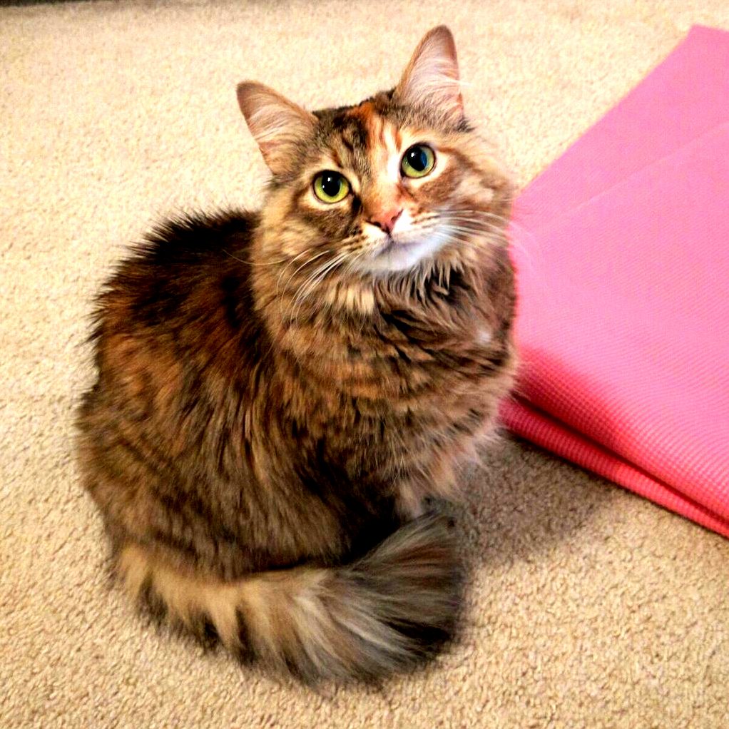 Libby