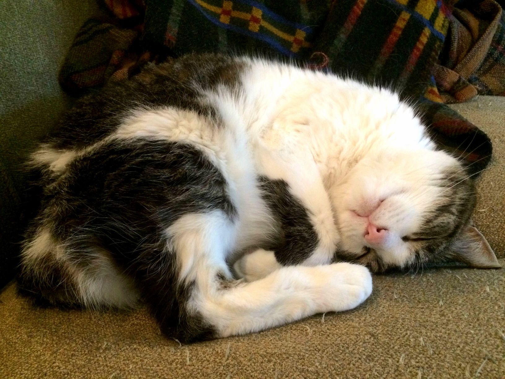 Lilly Always Feels a Bit Tired After a Hard Days Work