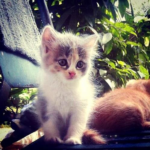 Look at That Face. Crazy Cute