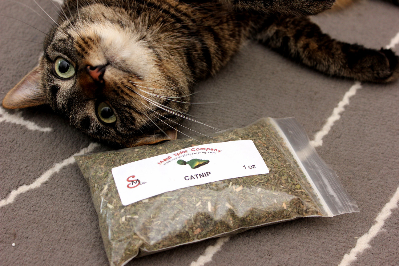 Look Whose Stash Finally Came
