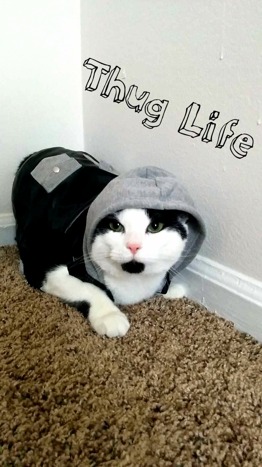 Meet Lieutenant Dan My Two Legged Homie.