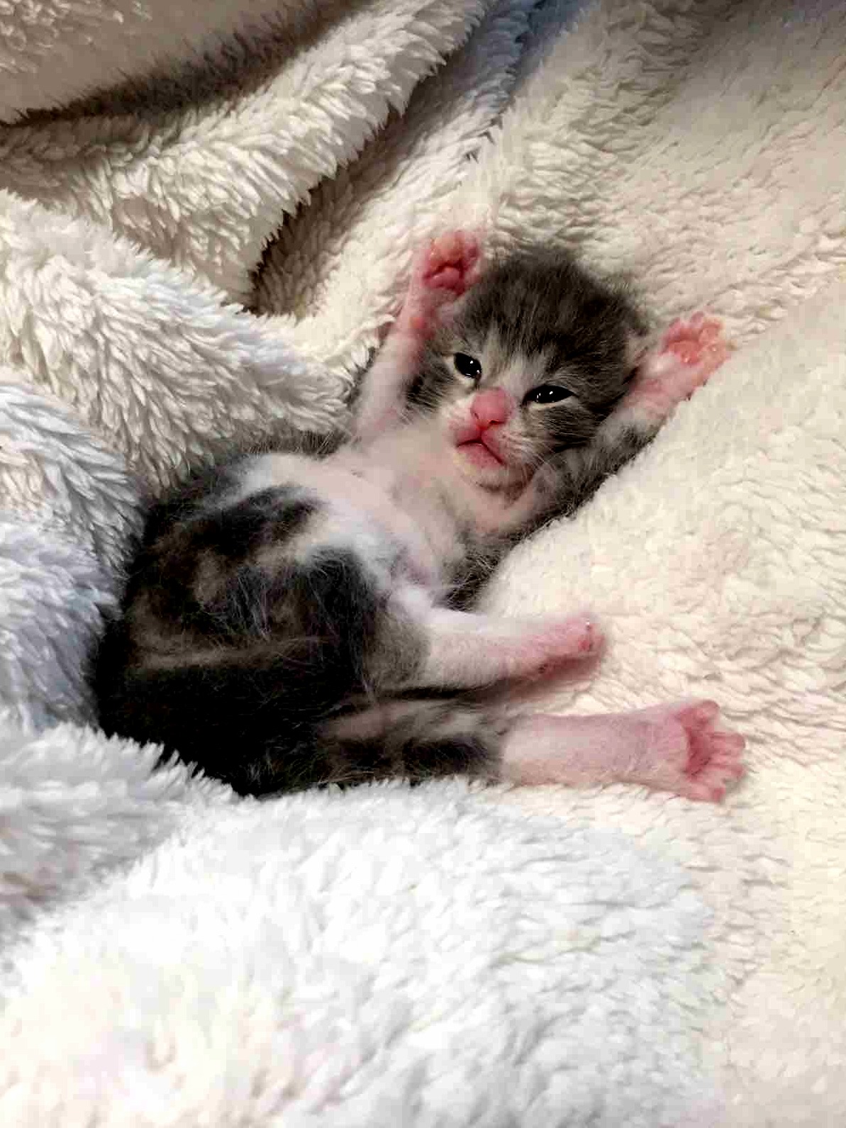 Meet with Cute Erik...