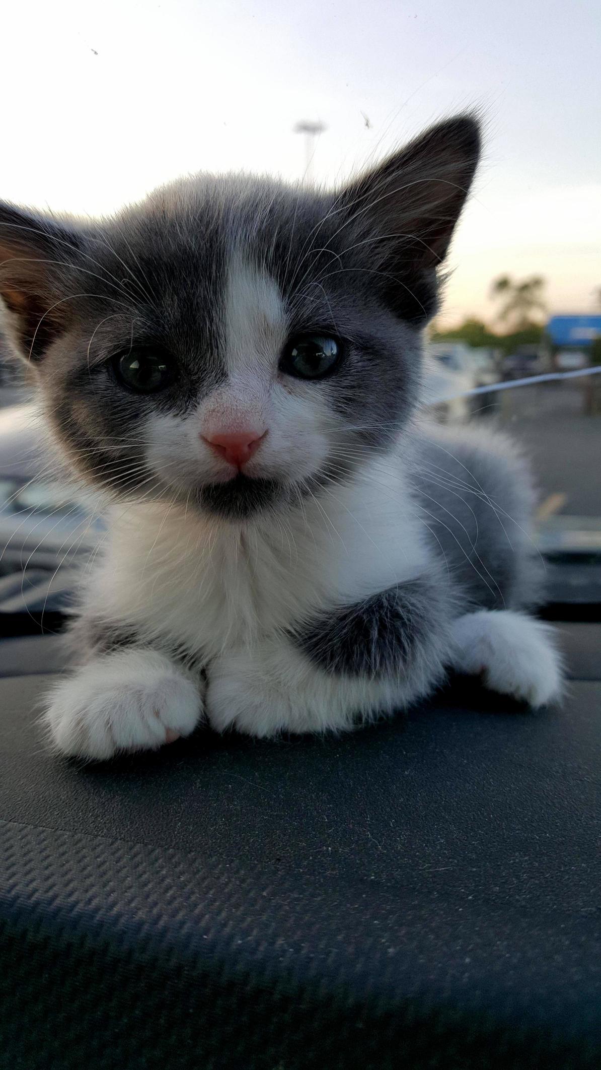Meet with Tyrion