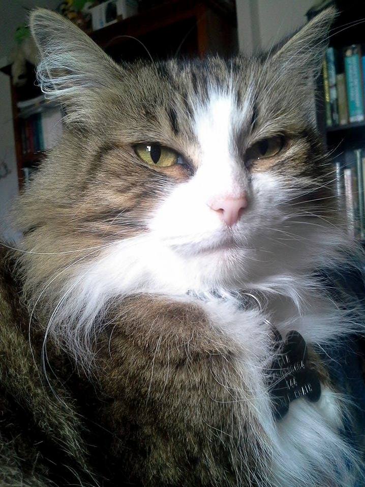 Mia Thinks She Can Sass Me